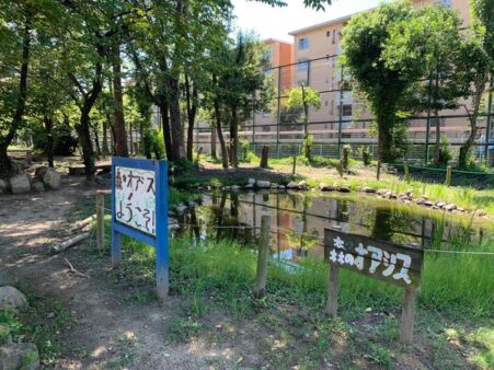 女子野球チームBlueRoseの練習に参加させていただきました